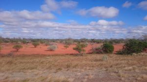 Outback