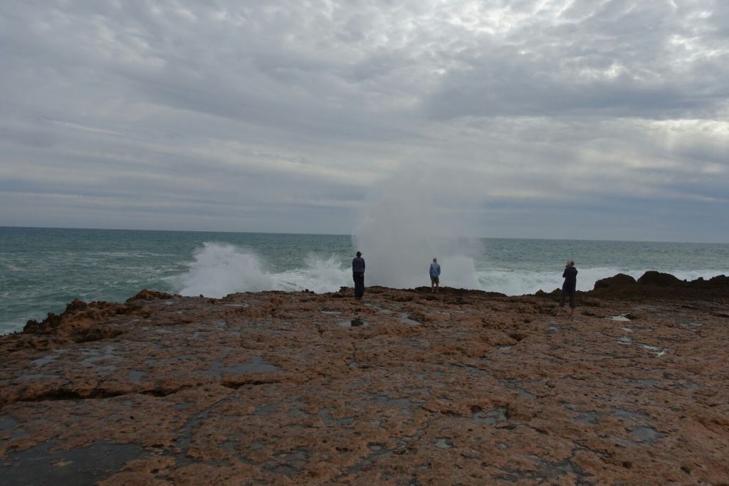 Blowholes