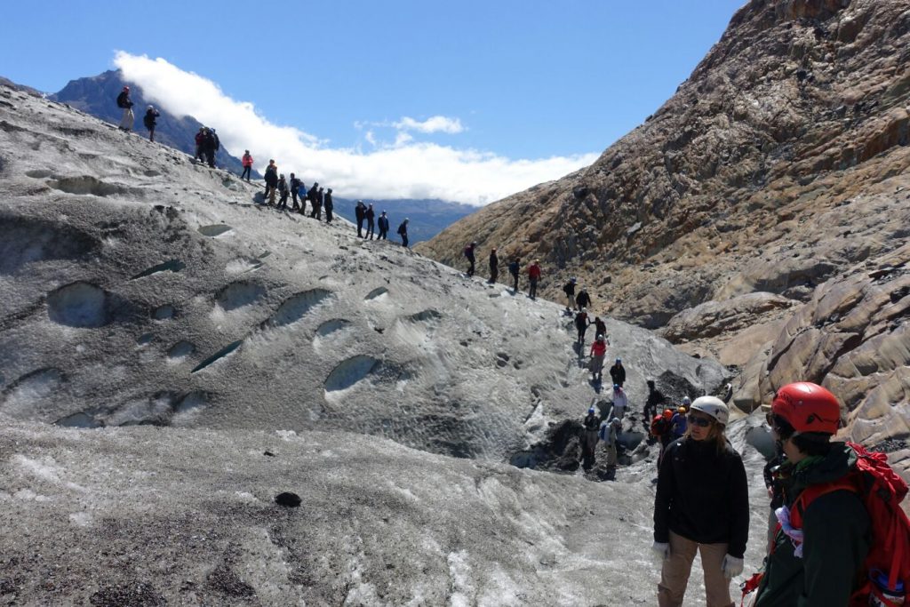 Wanderschlange auf dem Eis